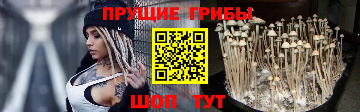 Нерюнгри  Псилоцибиновые грибы мицелий  Вход с VPN 